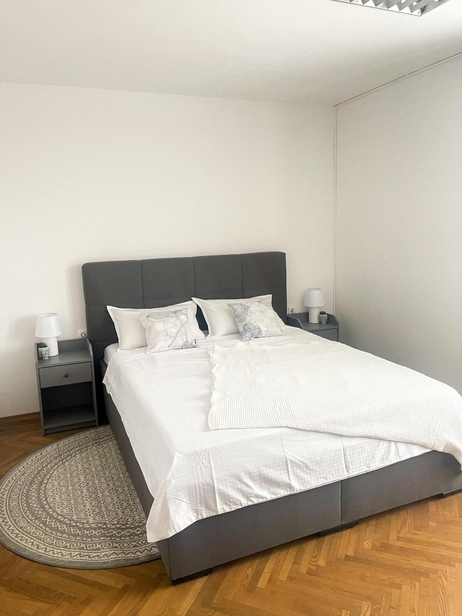Spacious Cozy Apartment Lublana Zewnętrze zdjęcie