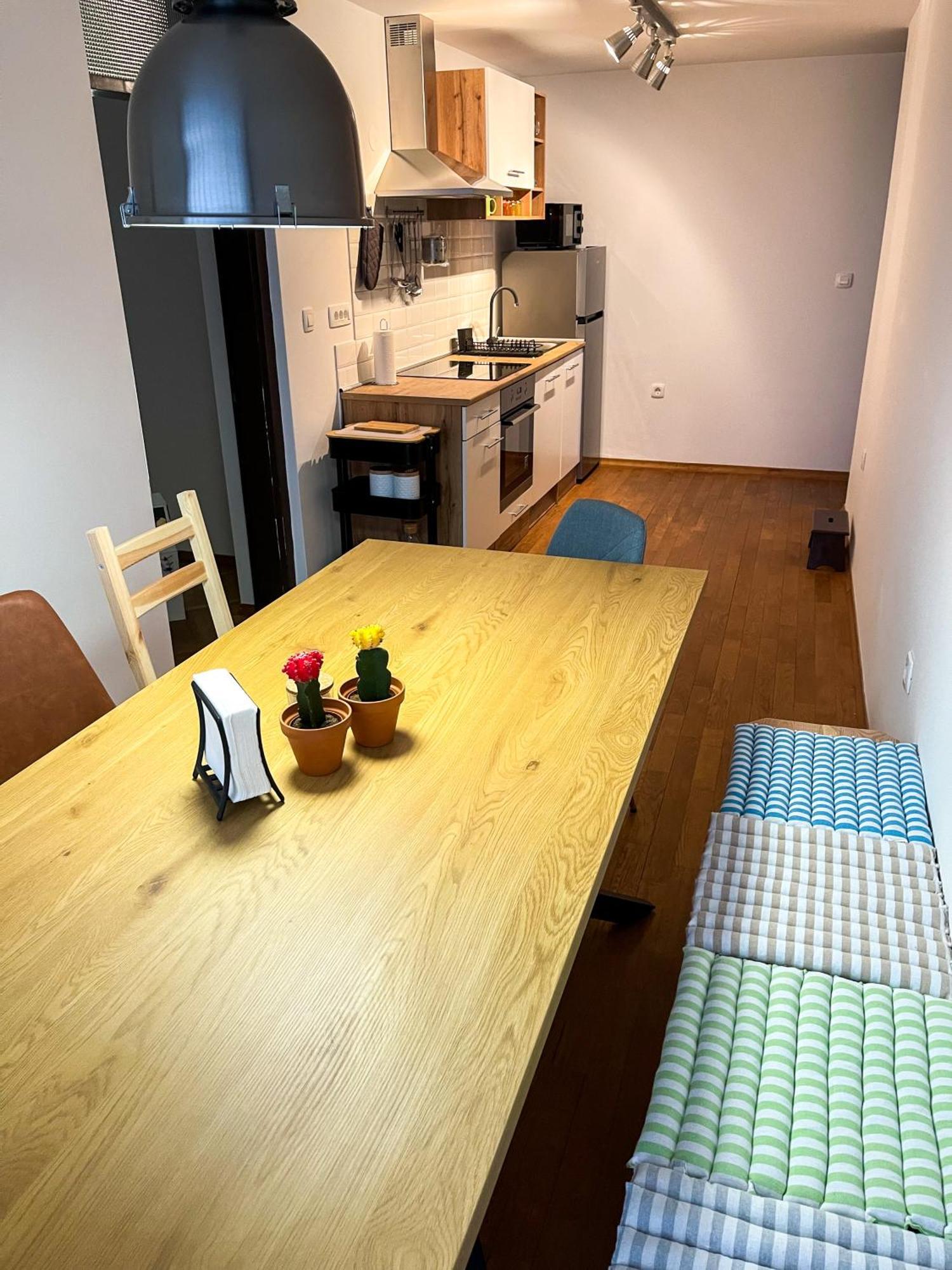 Spacious Cozy Apartment Lublana Zewnętrze zdjęcie